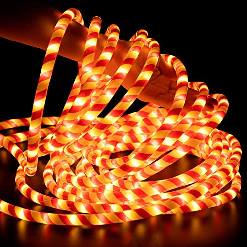 Vigdur Red Candy Cane Christmas Rope Lights 18FT 216 LEDs Outdoor Waterproof