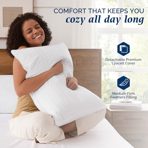Downluxe Queen Size Goose Feather & Down Pillows Set of 2 Classic Horizontal Stripes