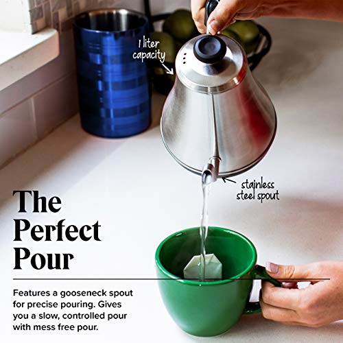 Gooseneck Electric Kettle with Temperature Control - 0.8L Stainless