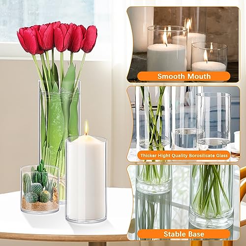 Homjoy 24 Pack Thick Clear Glass Cylinder Vases - 4, 6, 9, 12 Inch Tall for Flowers, Candles, Wedding & Home Decor