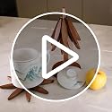 Powdonunt Brown Wooden Tree Coasters, 3 Foldable Tripod Trivets with Stands