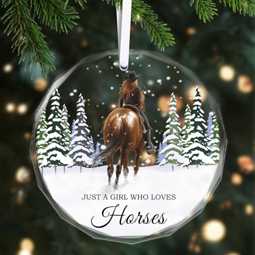 Christmas Ornaments 2025 - Horse Ornaments for Christmas Tree Horse Gifts for Women, Horse Decor Glass Hanging Christmas Decorations with Box for Horse Lovers
