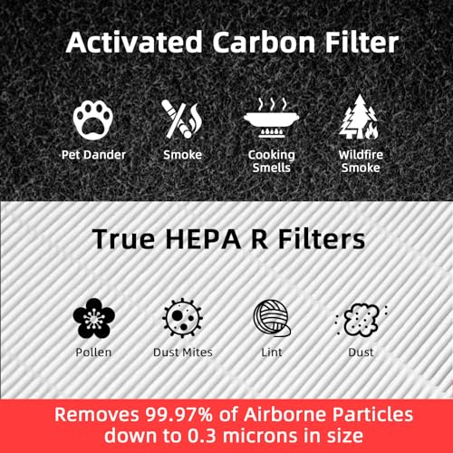 APPLIANCEMATES HPA300 Replacement HEPA R & Activated Carbon Pre-Filter Kit - 6 R Filters & 8 A Pre-Filters for Honeywell HPA300 Series Air Purifiers