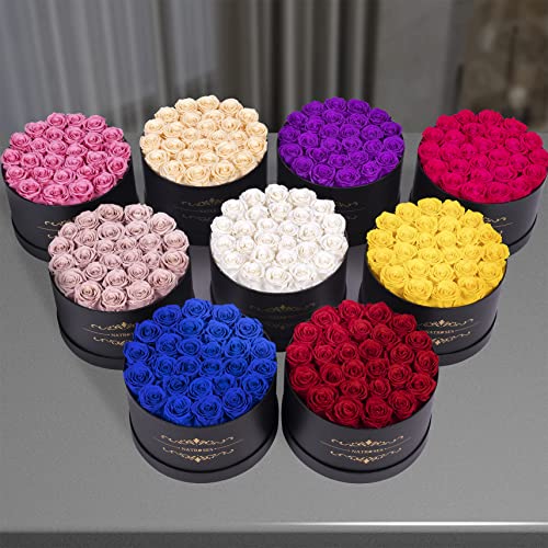 Black Preserved Roses in Elegant Gift Box - 27 Long-Lasting Flowers for Women