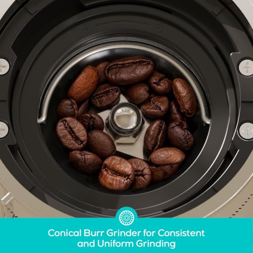 Conical Burr Coffee Grinder with 35 Grind Settings - Compact Home Use