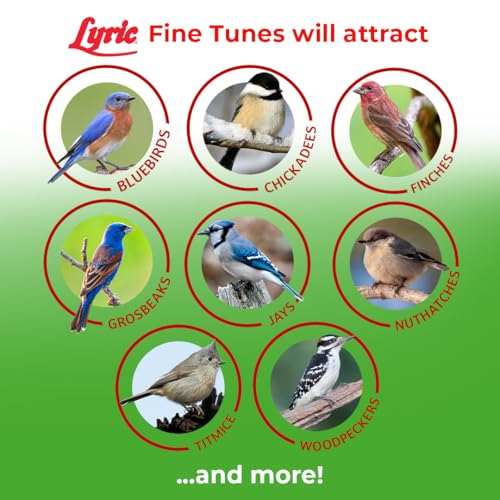 Wild Bird Seed Mix - No Waste Attracts Bluebirds, Finches, Chickadees - 15 lb Variation of Seed Mix / 15 Pound