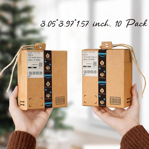 Cbloxtor 10 Pack Funny Christmas Mini Shipping Box Tree Ornaments