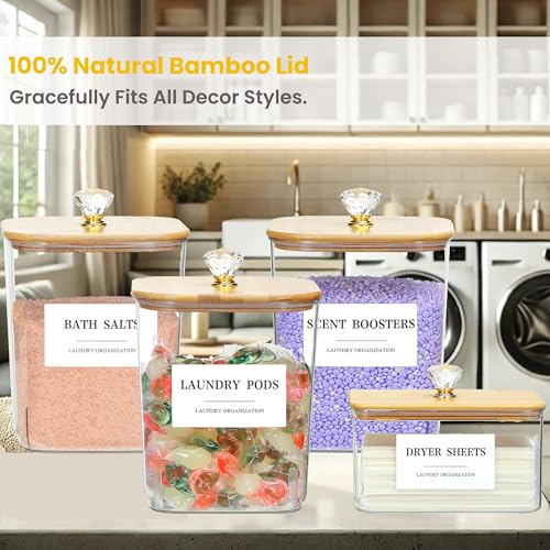 4 Pack Clear Laundry Pods & Dryer Sheet Organizer Set with Printed Labels