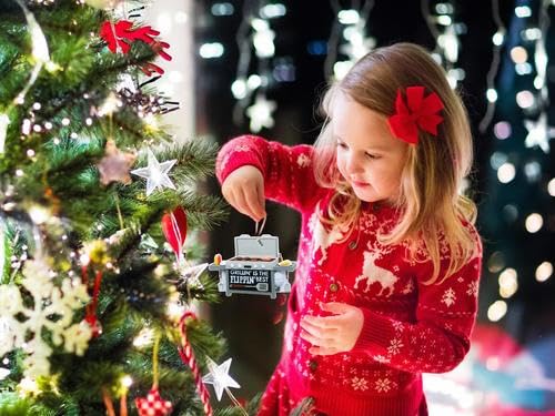 BBQ Ornament, 2026 Christmas Ornaments - Grill, Grilling or Smoker