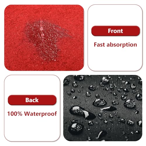 PANDOROOM Red Carpet Runner 3x10ft Non-Slip Aisle Rug for Weddings Parties