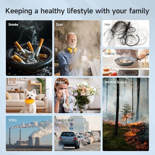 4 Pack Upgraded APH4000 Air Purifier Filters for KNKA Air Cleaner - Main & Activated Carbon with Aroma Pads