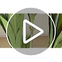 White 5FT Artificial Dracaena Tree Indoor Outdoor Faux Plant with Planter