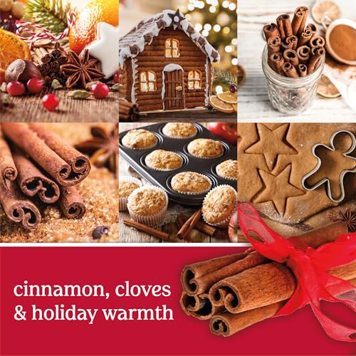 Sparkling Cinnamon Scented Candle - 22oz Large Jar, Long Burn Time
