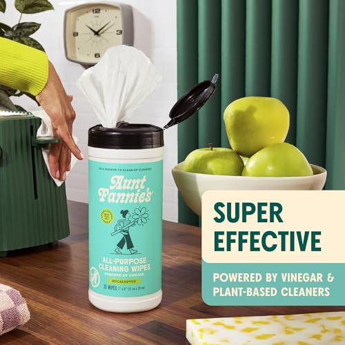 Aunt Fannie's Natural Eucalyptus Cleaning Vinegar Wipes - Pack of 6, 35 Count