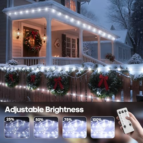 Soiarllt 100Ft Cool White LED Rope Lights Outdoor with Remote & Plug