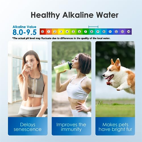 Waterdrop WFD-40L-A Water Filter Dispenser - Alkaline Filtration, Black - Upgraded Alkaline Variation