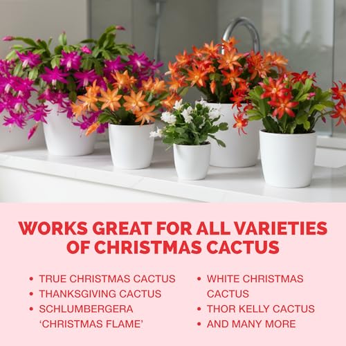 TPS NUTRIENTS 8 oz Liquid Cactus Fertilizer for Vibrant Blooms and Indoor Plant Growth