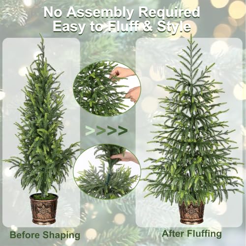 BLEUM CADE 3FT Small Norfolk Pine Christmas Tree with Pot - Tabletop Holiday Decor