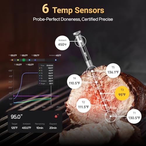 Wireless Meat Thermometer with 6 Sensors and 1 Probe - Standalone LCD Display