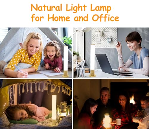 VUSIHOO 10,000 Lux UV-Free Sunlight Therapy Lamp with 3 Color Temperatures & Adjustable Brightness