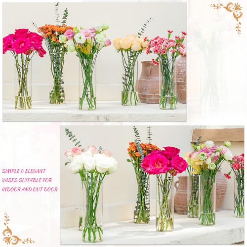 7 Pack 10 Inch Glass Cylinder Vases for Centerpieces - Clear Flower & Candle Holders