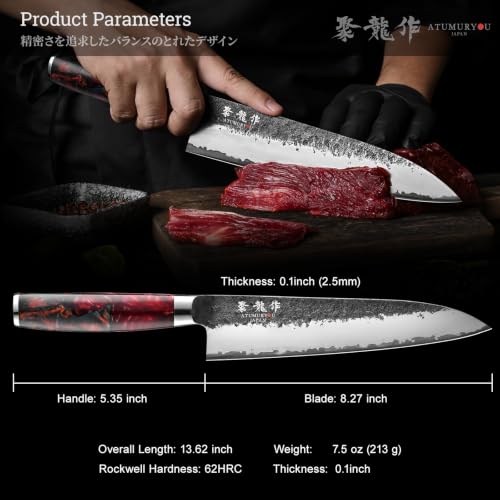 8.27 Inch Japanese Gyuto Chef Knife - Black Forged VG10 Steel, Hand-Sharpened