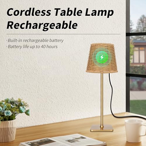 Outdoor Waterproof Cordless LED Table Lamp with Wicker Shade - Gold