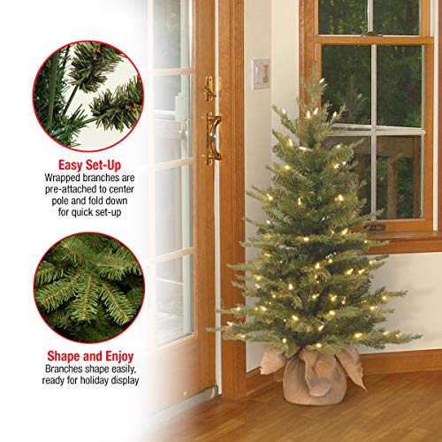 3ft Pre-Lit Nordic Spruce Mini Christmas Tree - Feel Real Artificial Holiday Tree