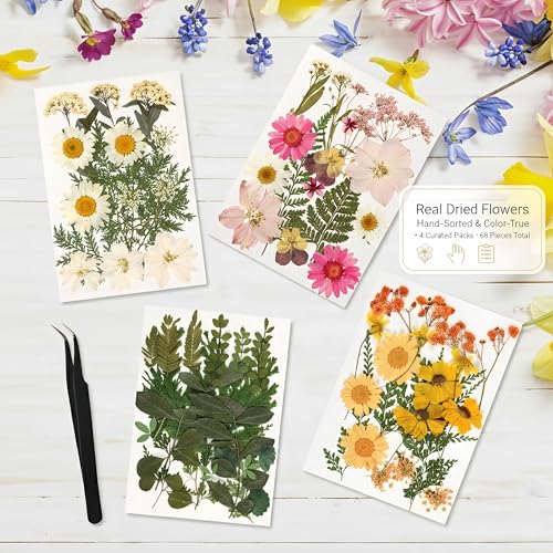 Relaxing Garden Pressed Flower Frame Kit - 3 Hanging Glass Botanical Wall Decor