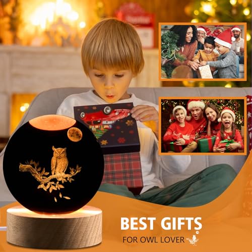 Owl Gifts for Women, 3.15in 3D Figurine Crystal Ball Lamp with Remote Control, Owl Decor for Bedroom, Birthday Christmas Owls Gifts for Kids Girls Boys Women