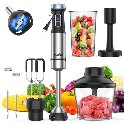 Ganiza 6-in-1 Black Handheld Immersion Blender with 1100W Motor & Accessories