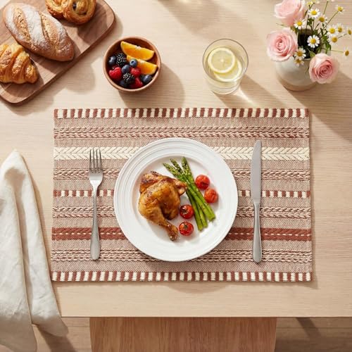 Artoid Mode Caramel Woven Braided Stripe Placemats - Set of 6, 12 x 18 inches