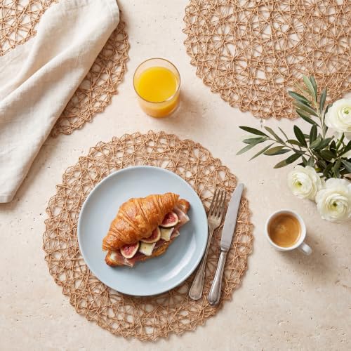 Threehoney 13 Inch Paper Braided Round Placemats Set of 60 Brown Rustic Table Decor