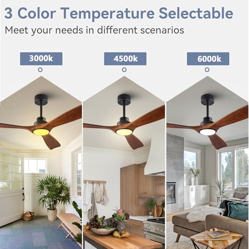 Ceiling Fan with Light - 42 Inch Black Body and Dark Walnut Blades - Remote Control