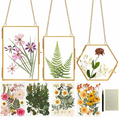 Relaxing Garden Pressed Flower Frame Kit - 3 Hanging Glass Botanical Wall Decor
