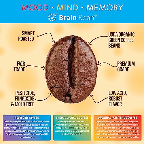 Organic Coffee Whole Bean 16 oz Pack of 3 – Medium Roast, Antioxidant-Rich, USDA Certified
