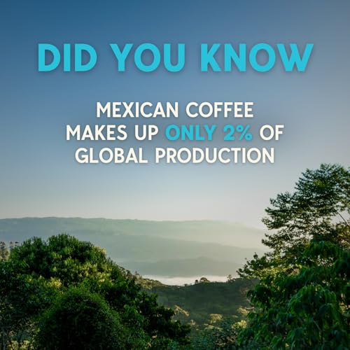 Mexican Single-Origin Dark Roast Cold Brew Coffee 12oz Can Pack of 12 - 250mg Caffeine