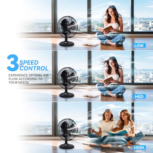 BEYOND BREEZE 12-Inch Black Oscillating Table Fan, 3 Speeds, Quiet & Portable