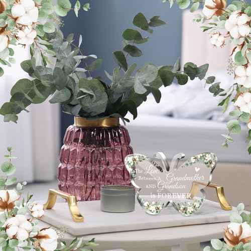 Jetec Grandma Gift Birthday Christmas Acrylic Gift Butterfly Shape Grandmother Sign from Granddaughter Grandson Thoughtful Mother's Day Ideas(Butterfly Grandson)