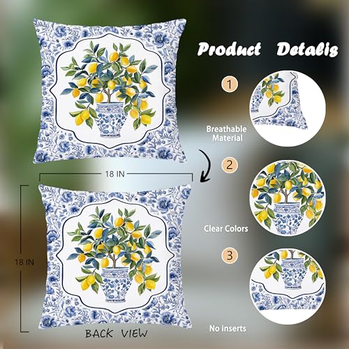 BUJSP Chinoiserie Lemon Double-Sided 18x18 Floral Pillow Cover - Seasonal Blue/White