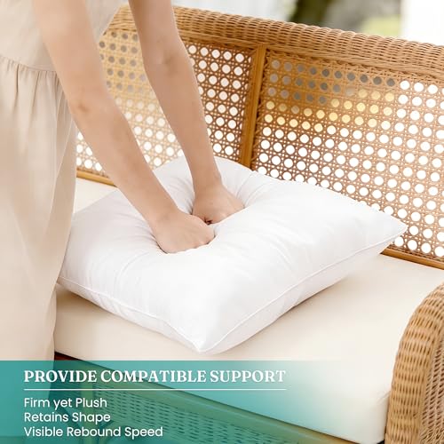 Outdoor Waterproof Pillow Inserts 20x20 Set of 2 - Square Patio Cushions
