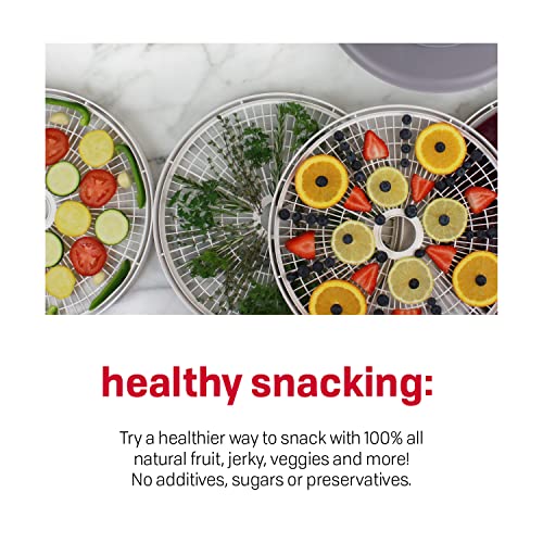 Food Dehydrator for Jerky and Snacks - 4 Trays, Adjustable Temp, White & Grey - Dehydrator