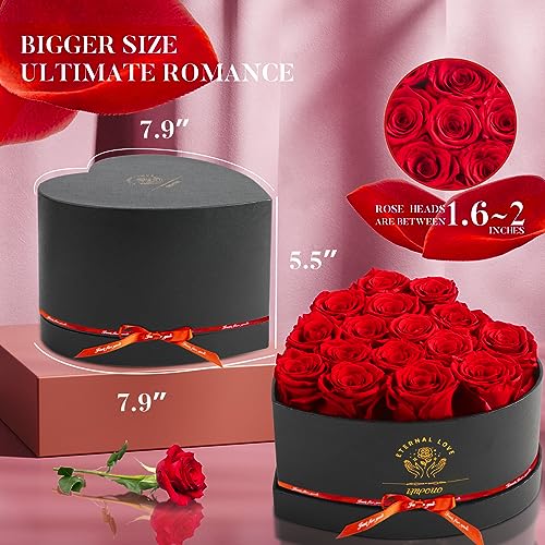 Impouo 16-Piece Preserved Red Roses Gift Box for Women, Long-lasting Forever Flowers