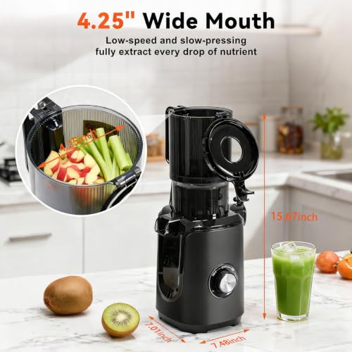 NEWBULIG Black Cold Press Juicer with 4.25-Inch Feed Chute - Masticating Slow Juicer