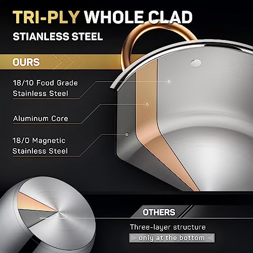 8 Quart Stock Pot with Lid - Tri-Ply Stainless Steel Induction Compatible