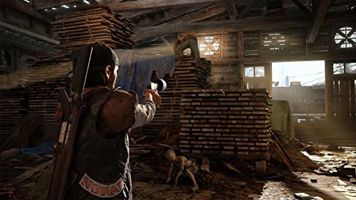 Days Gone PS4 Action Adventure Game with Open World Survival