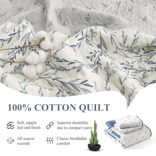Queen Cotton Quilt Set with Botanical Stripe Design - Moonlight Blue & Gray