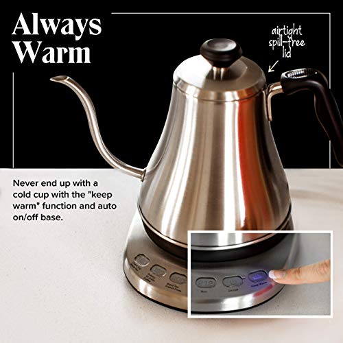 Gooseneck Electric Kettle with Temperature Control - 0.8L Stainless