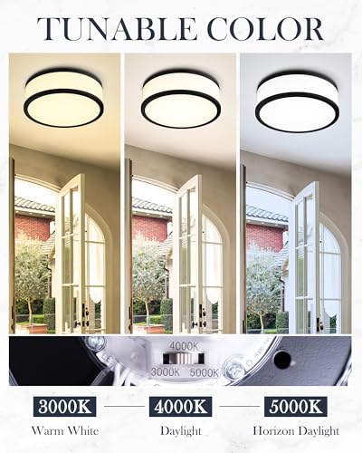 LMS Black 15 Inch Dimmable LED Flush Mount Ceiling Light for Kitchen & Hallway