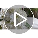 Real Touch Faux Hydrangeas in Vase - Light Green Artificial Flower Decor